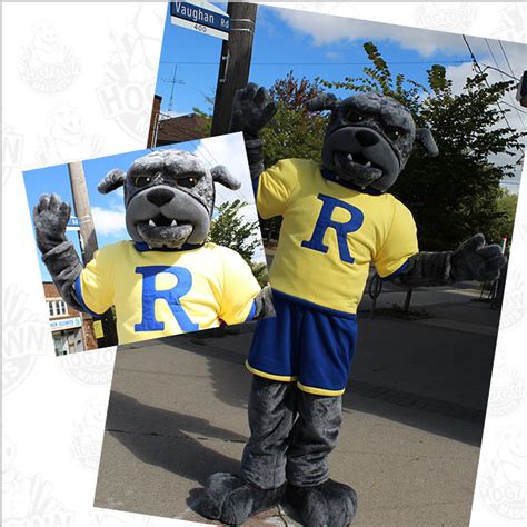 Stepping Up Your Game: Finding the Perfect Mascot Store Nearby